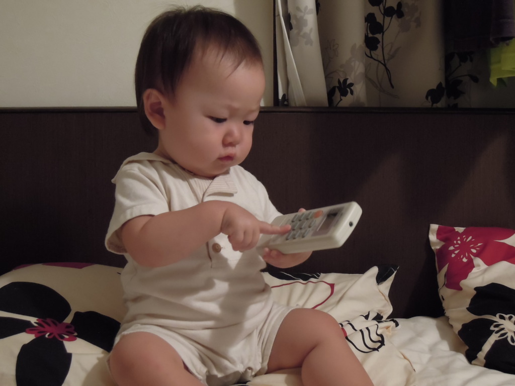 リモコン係