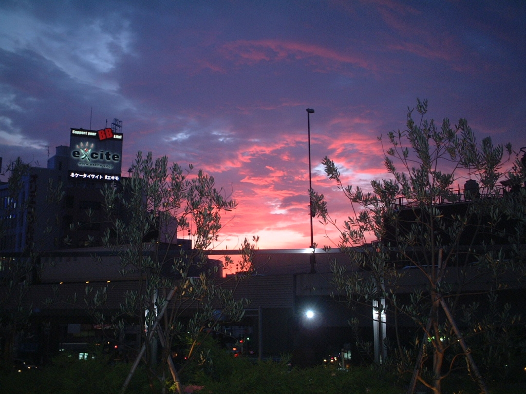 六本木の夕焼け