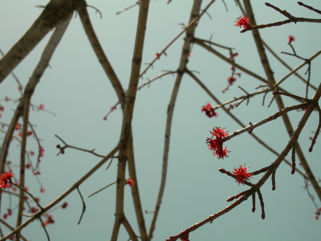 3月
