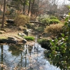 公園　2007