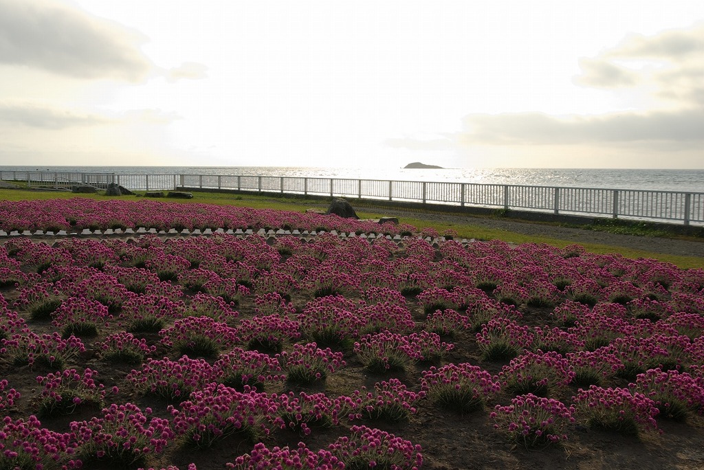 P1396稚内最北端の岩