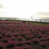 P1396稚内最北端の岩