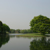 P0431昭和記念公園水鳥の池