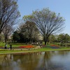 P6271昭和記念公園