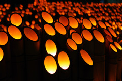 竹灯り１