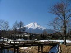 忍野の富士