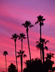 Californian sunset