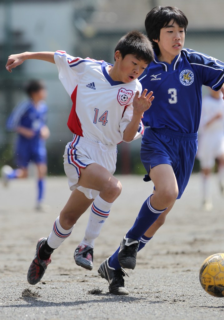 全日本少年サッカー大会