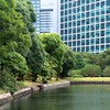 庭園を臨む