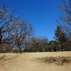 早春の公園