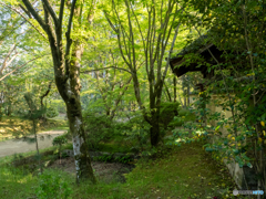 唐招提寺