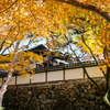 正暦寺
