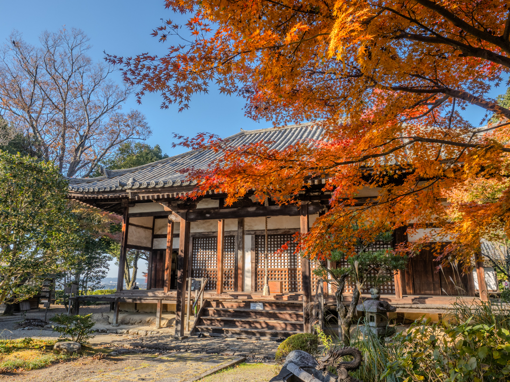 奈良白毫寺