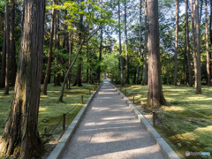 唐招提寺