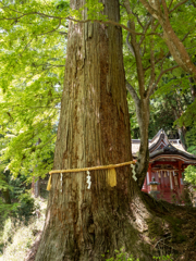 談山神社