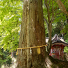 談山神社