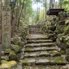 円照寺
