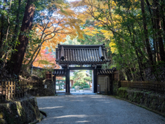 円照寺の紅葉