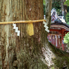 談山神社