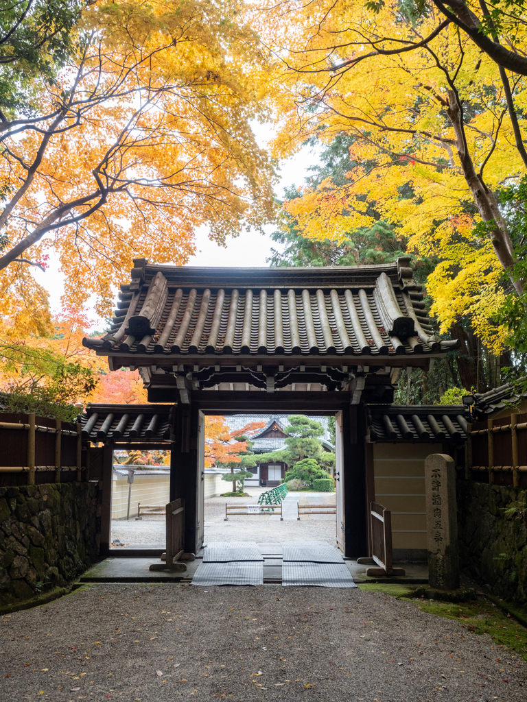 円照寺の紅葉