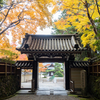 円照寺の紅葉