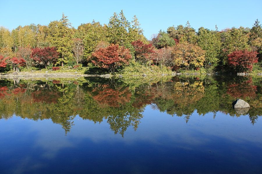 昭和記念公園