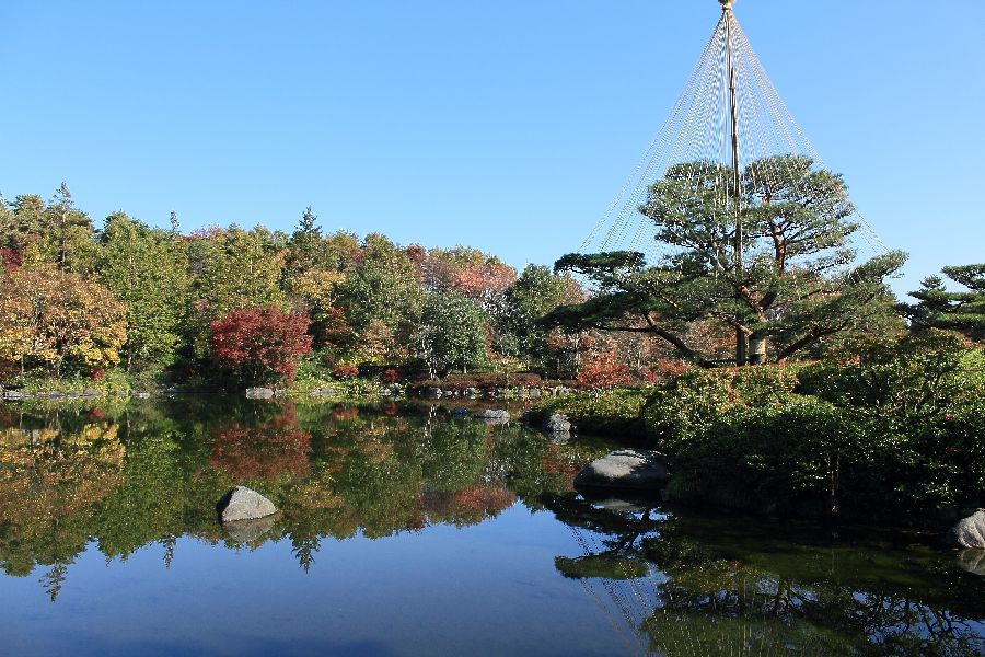 昭和記念公園