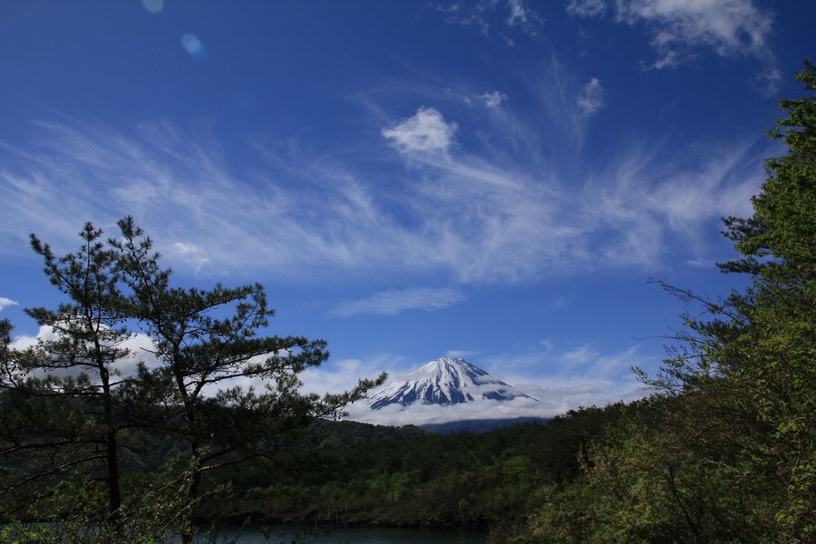 西湖からの富士