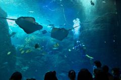 江ノ島水族館