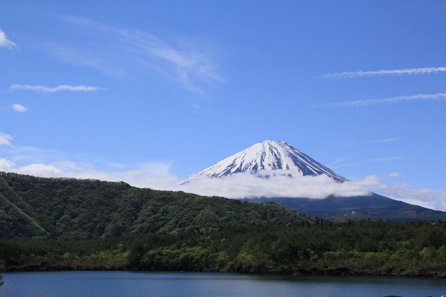 西湖からの富士