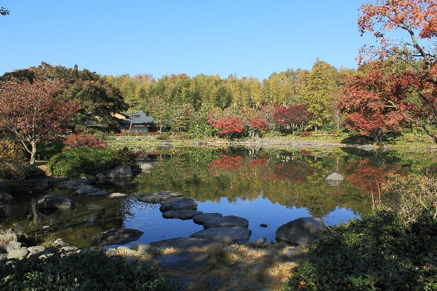 昭和記念公園