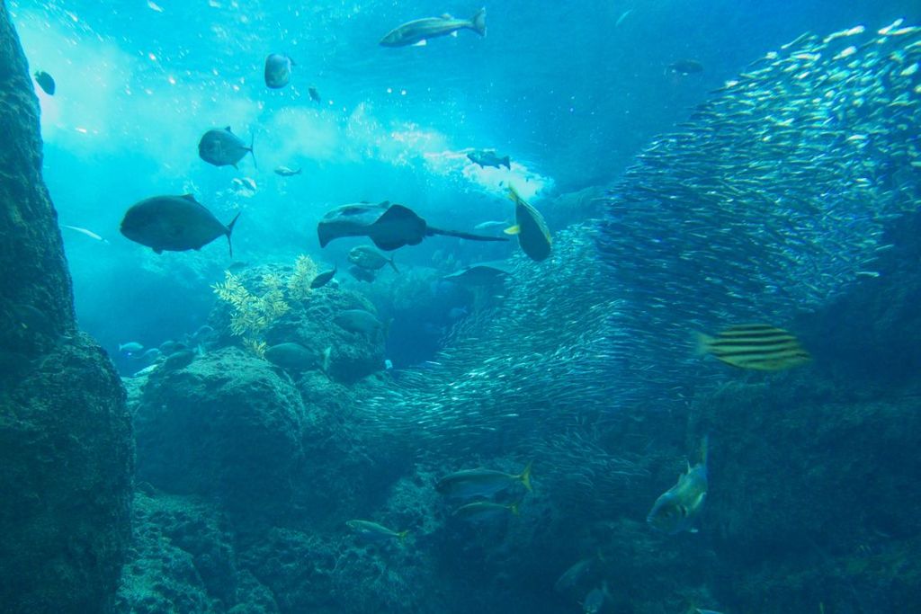 江ノ島水族館