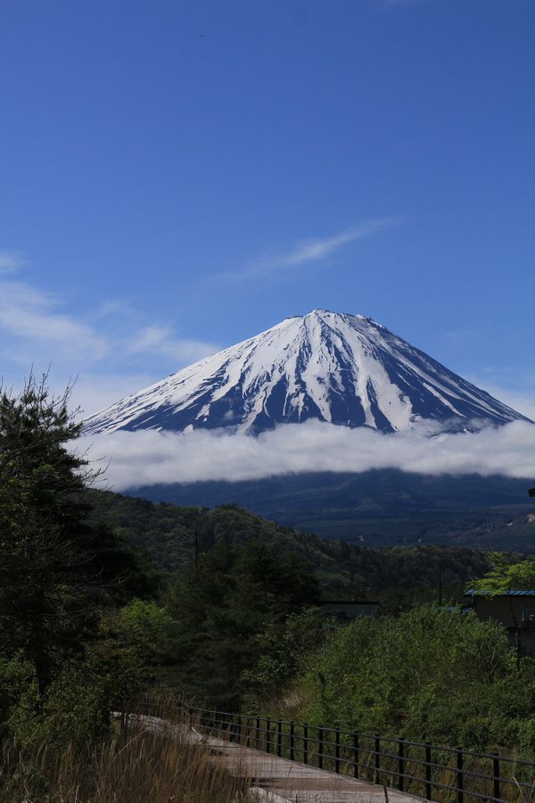 富士