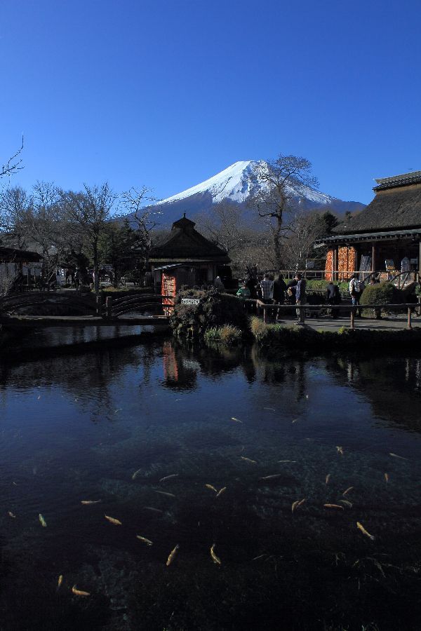 忍野八海