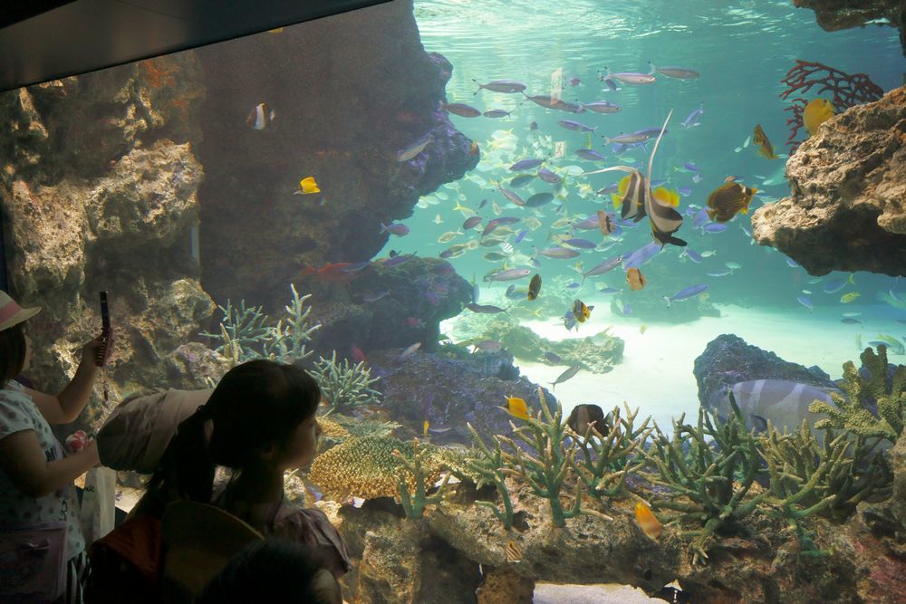 水族館