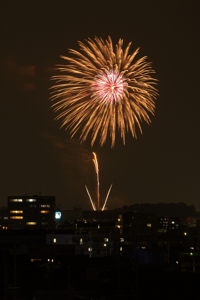 町に現れた巨大な花