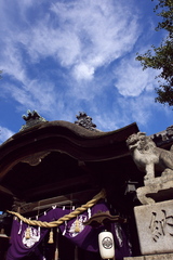 祭り日和