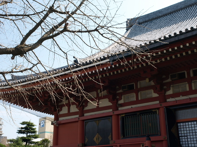 浅草寺（本堂裏から）