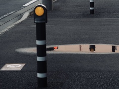 雨あがりに