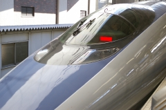 IMGP6828