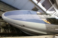 IMGP6819