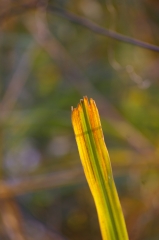 IMGP5389