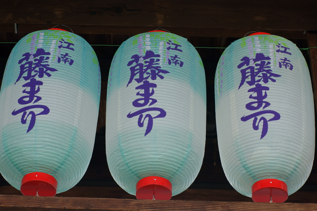 DSC00100a