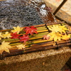 2012紅葉004