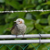 DSC08044