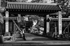 DSC00008