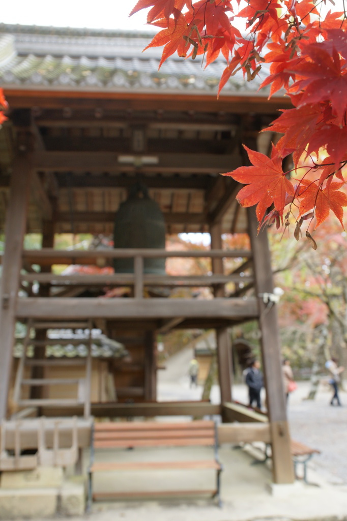 2013紅葉002