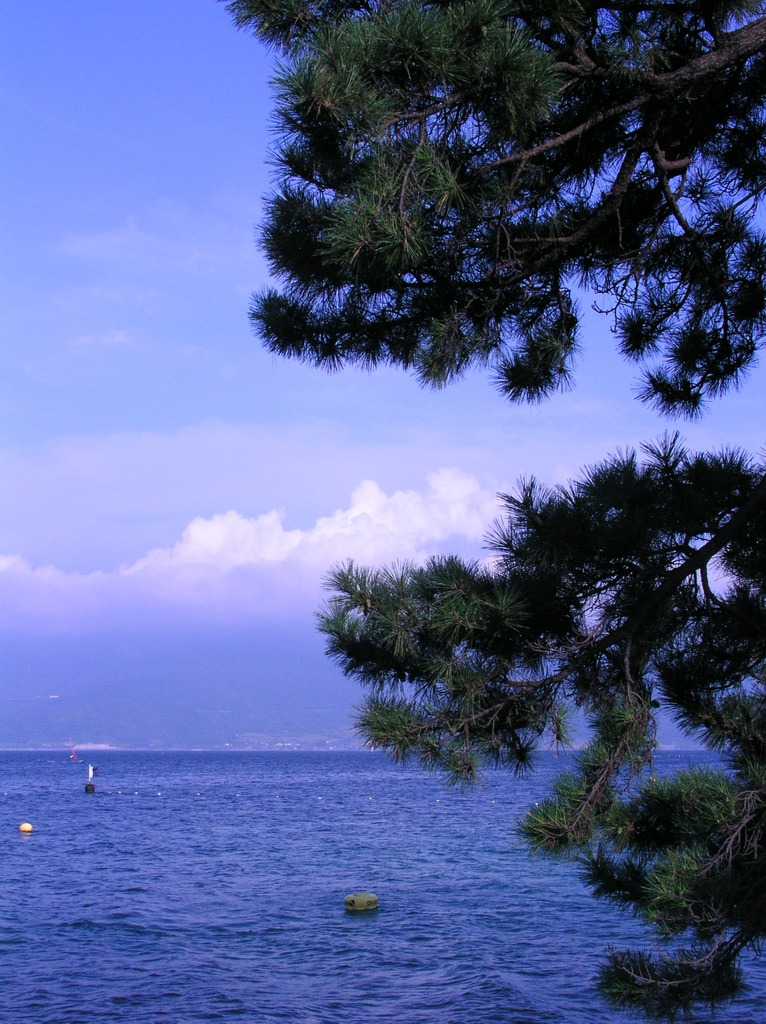 今日の天気は…