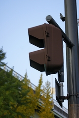 信号と街路樹