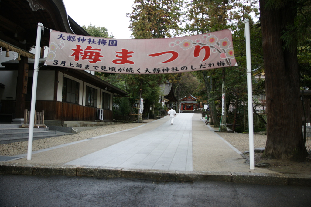 梅祭り00007